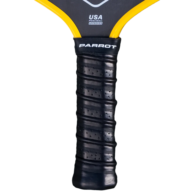 Iowa Hawkeyes PRO-Formance Logo Pickleball Paddle