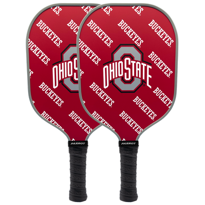 Ohio State Buckeyes Pickleball Paddle Set
