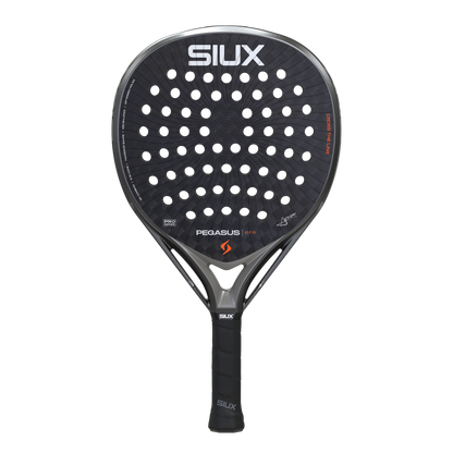 Pegasus Pro 2026 Storm Grey