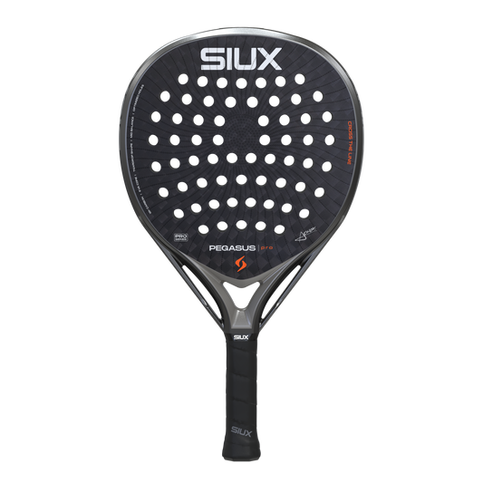 Pegasus Pro 2026 Storm Grey