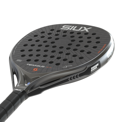 Pegasus Pro 2026 Storm Grey